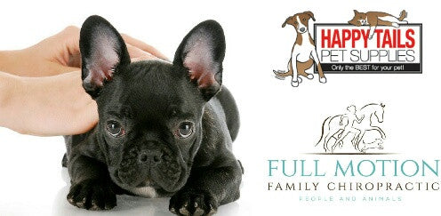 Pet Chiropractic Treatment Days