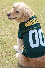 Green Bay Packer Sale!