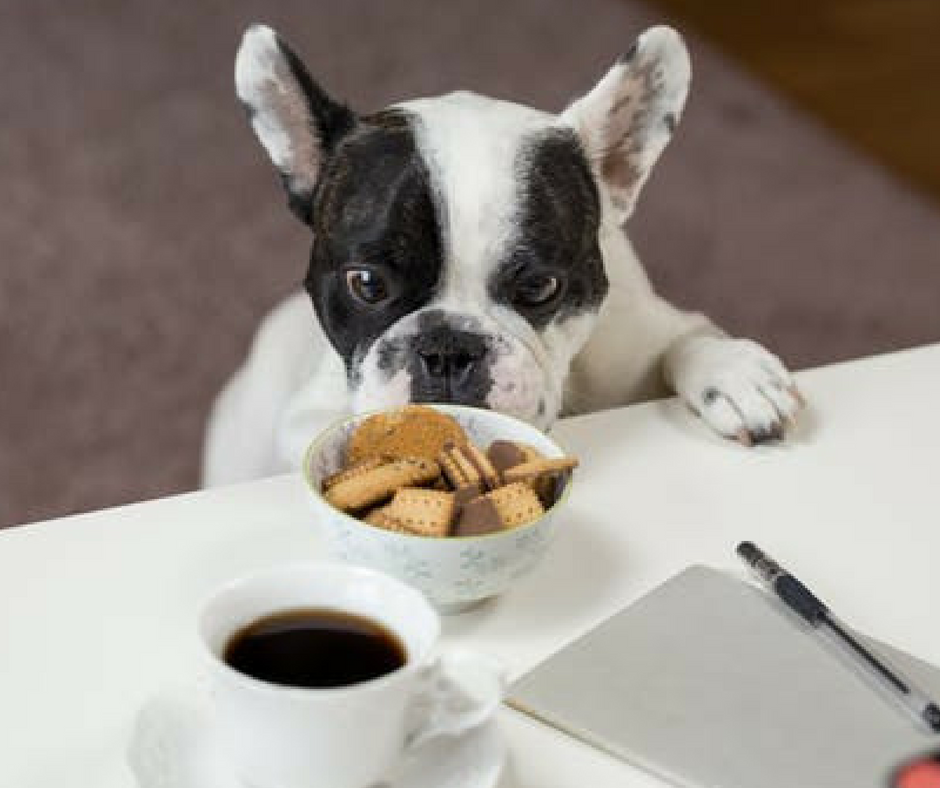 Dog Food Sale! Ends June 30th