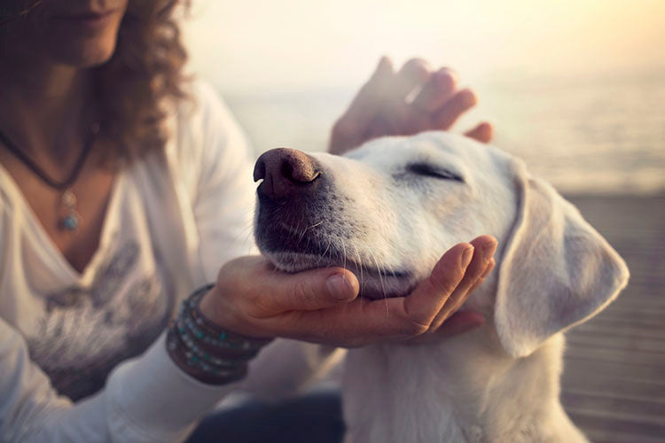 Natural Calming Aids