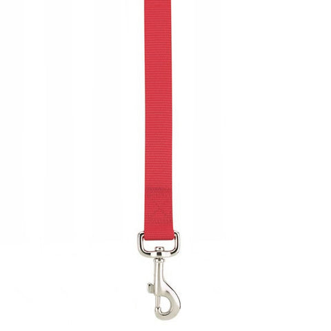 Nylon Dog Leash