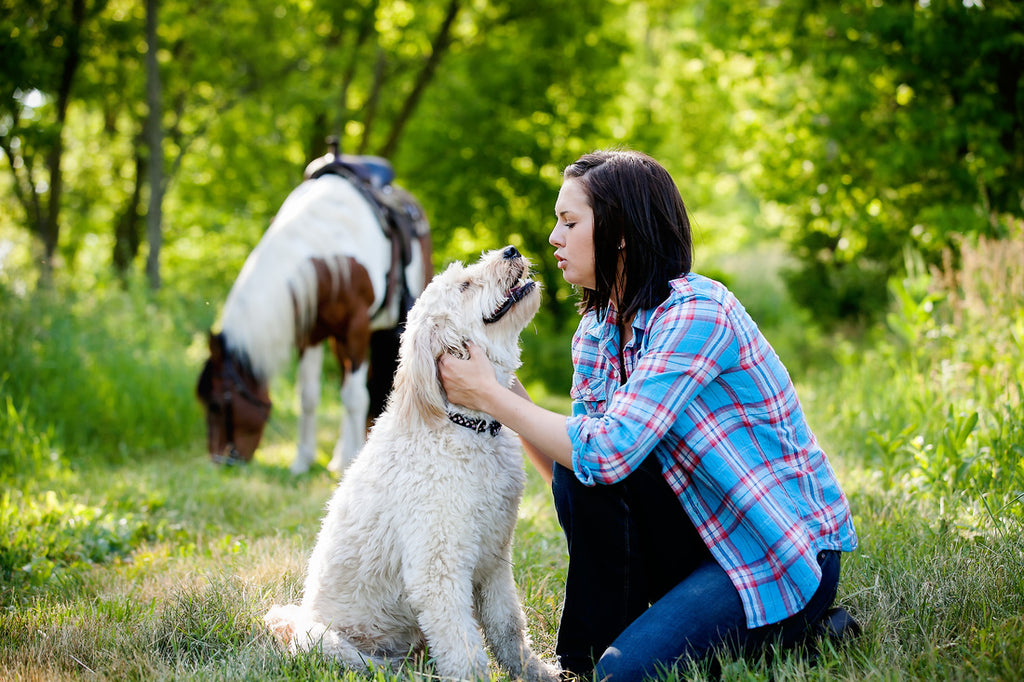 September 10th - Animal Communicator- Caitria Thiele- Franklin Location