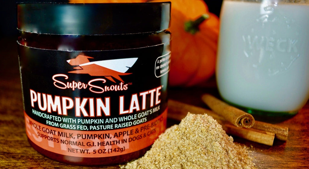 September 30th- Pumpkin Latte Day!